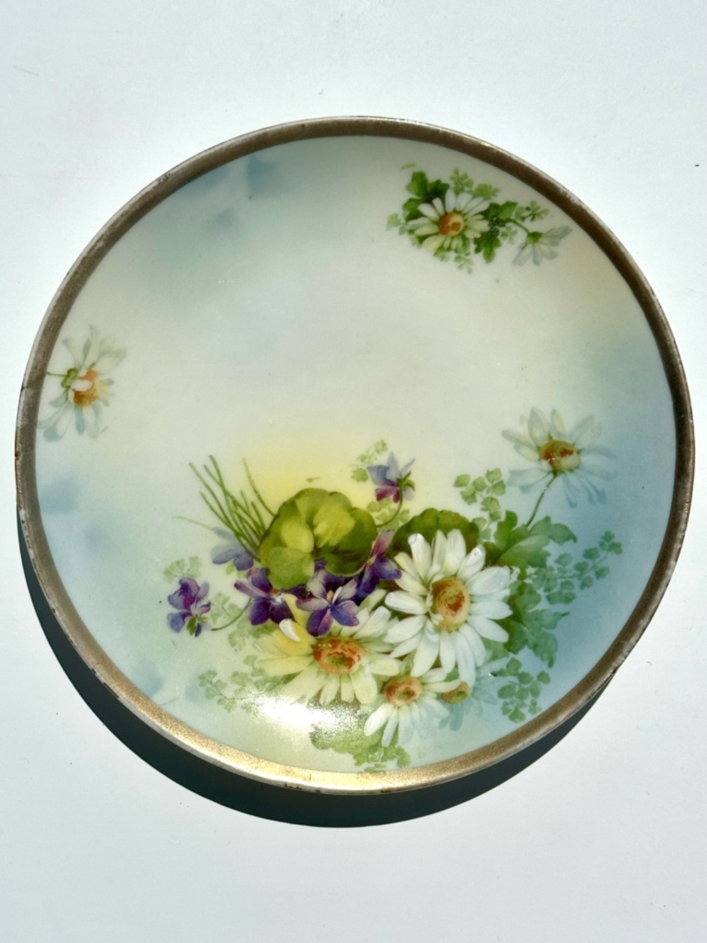 Royal Rudolstadt Prussia Hand-Painted Daisy Floral Decorative Plate Gold Rim, 6”